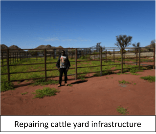 reparing cattle yard